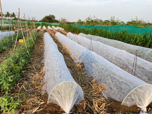 Crop Covers