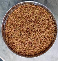 Alfalfa Seeds
