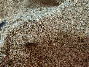 Animal Feed