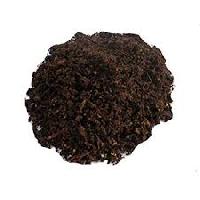 Azospirillum Biofertilizer