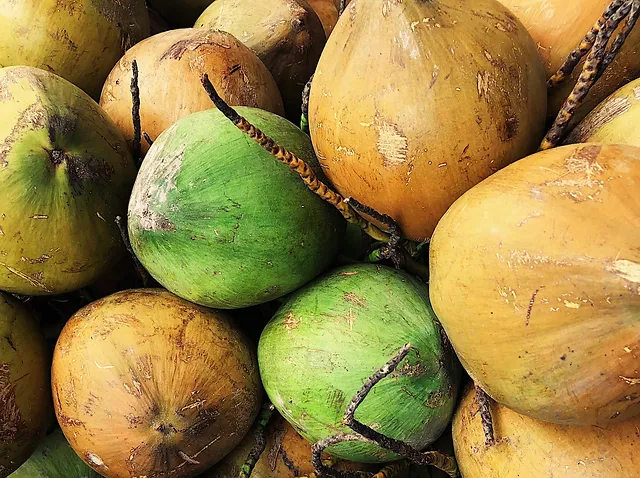 Mature Coconut