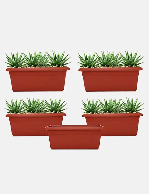 Rectangular Planter