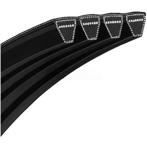 Banded Belt