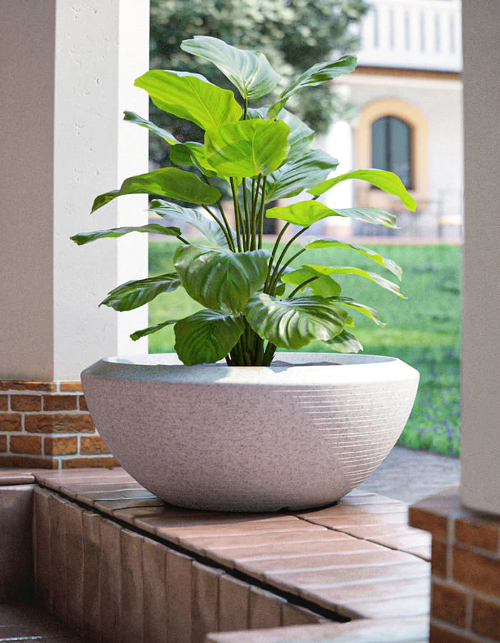 Planter