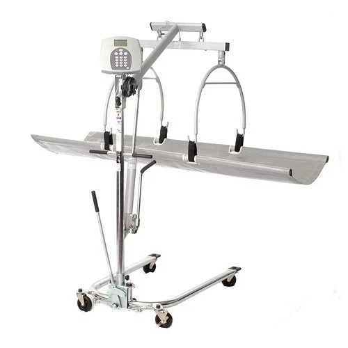 Bed Scale