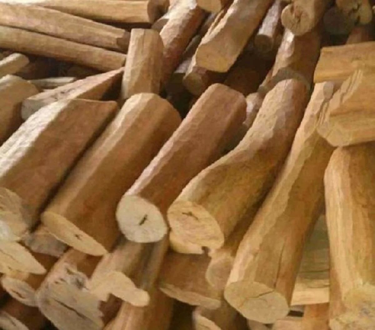 Sandalwood Logs