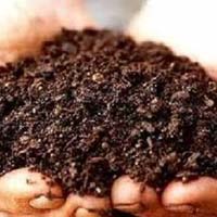 Biofertilizer