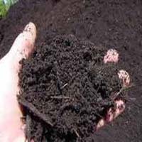 Bio Organic Manures