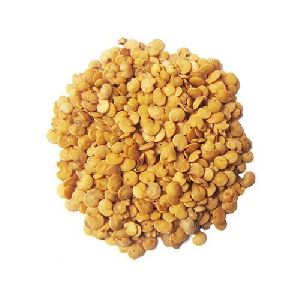 Hybrid Brinjal Seeds