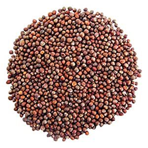 Broccoli Seeds