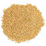 Broiler Feed