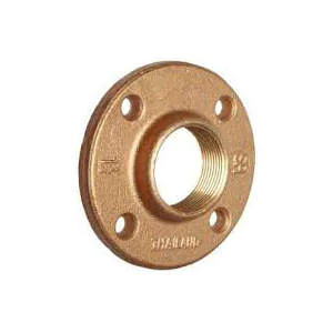 Bronze Flange