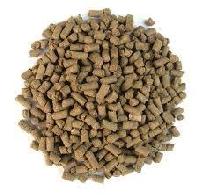 Buffalo Feed