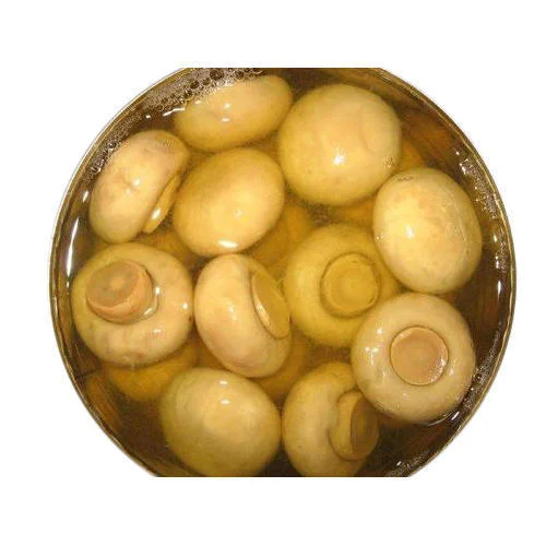 Canned Mushroom