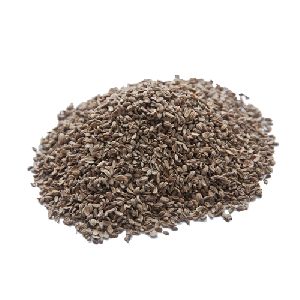 Carrot Seeds