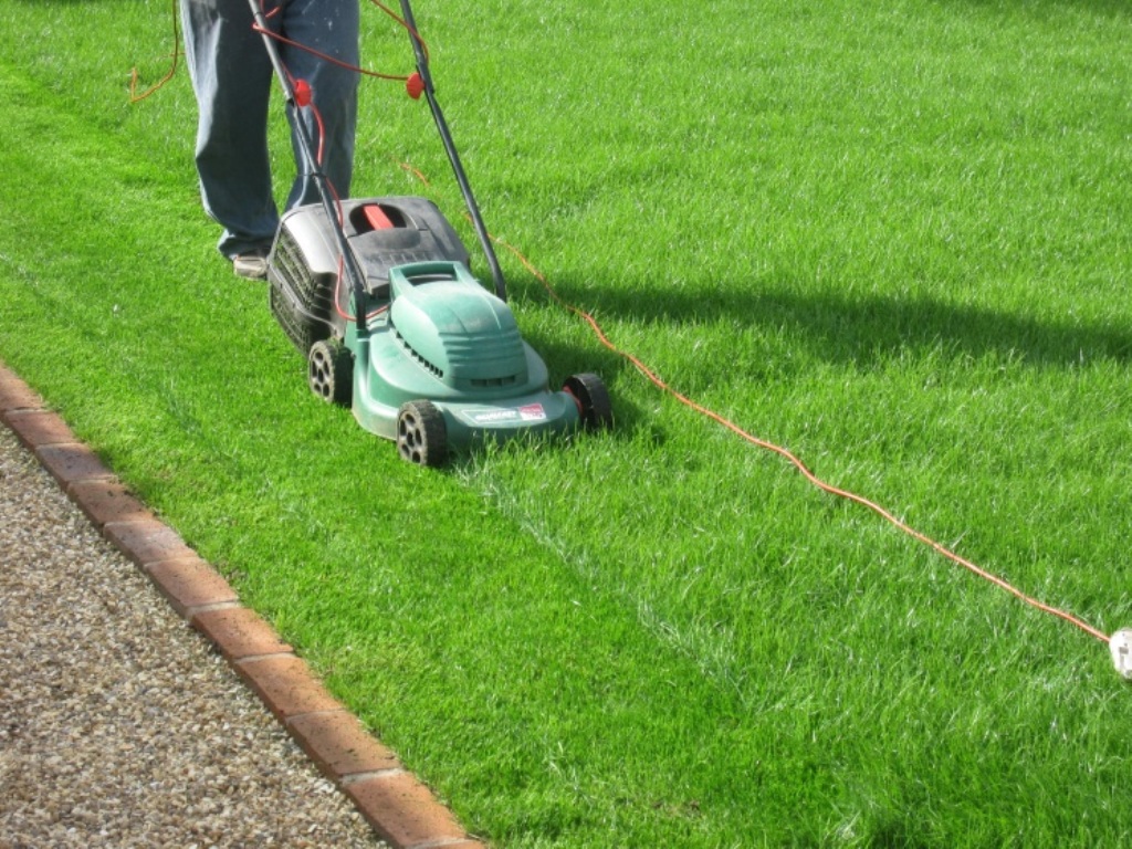 Lawn Maintenance Services