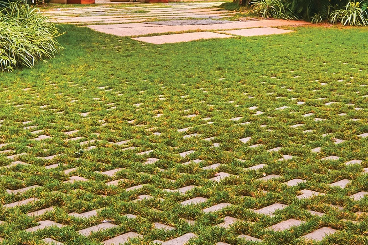 Grass Concrete Paver