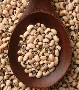 Cowpea Seeds