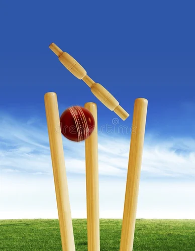 Cricket Stumps