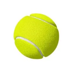 Cricket Tennis Ball