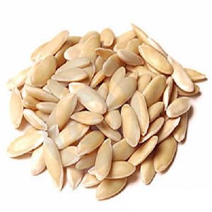 Cucumber Seeds