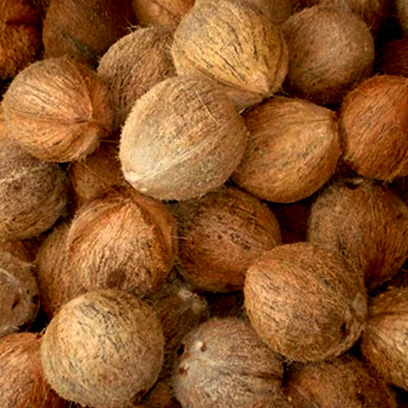 Dehusked Coconut
