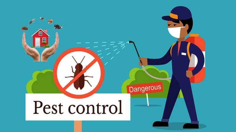 Insect Control
