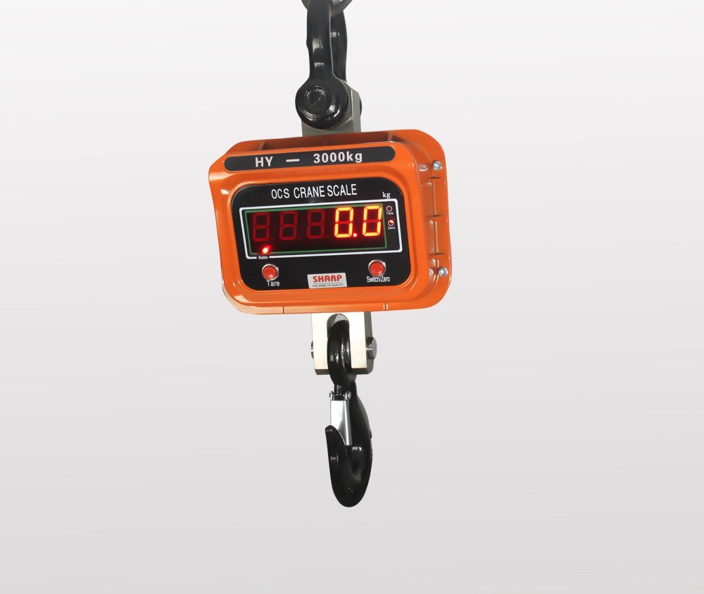 Digital Crane Scale