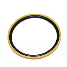PTFE Piston Seals