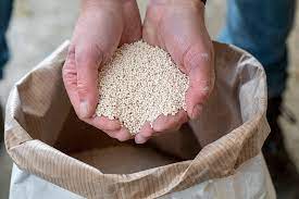 Feed Additives
