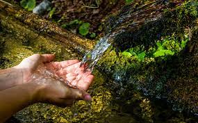 Spring Waters