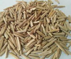 Adenium Seeds