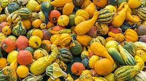 Fruit Squash