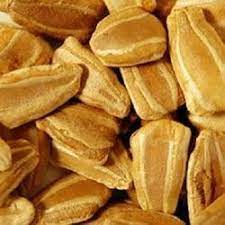 Bottle Gourd Seeds