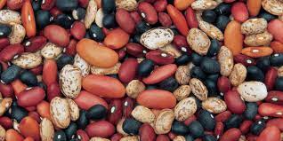 Dried Beans