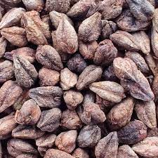 Buckwheat