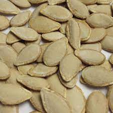 Zucchini Seeds