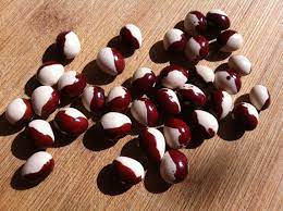 Pea Beans