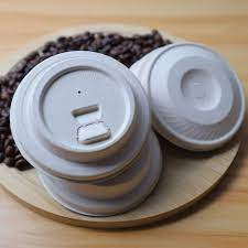 Paper Lids