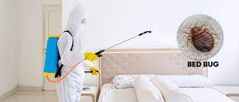 Bed Bug Pest Control