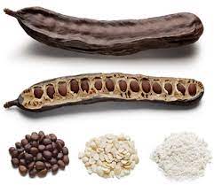 Locust Bean Gum