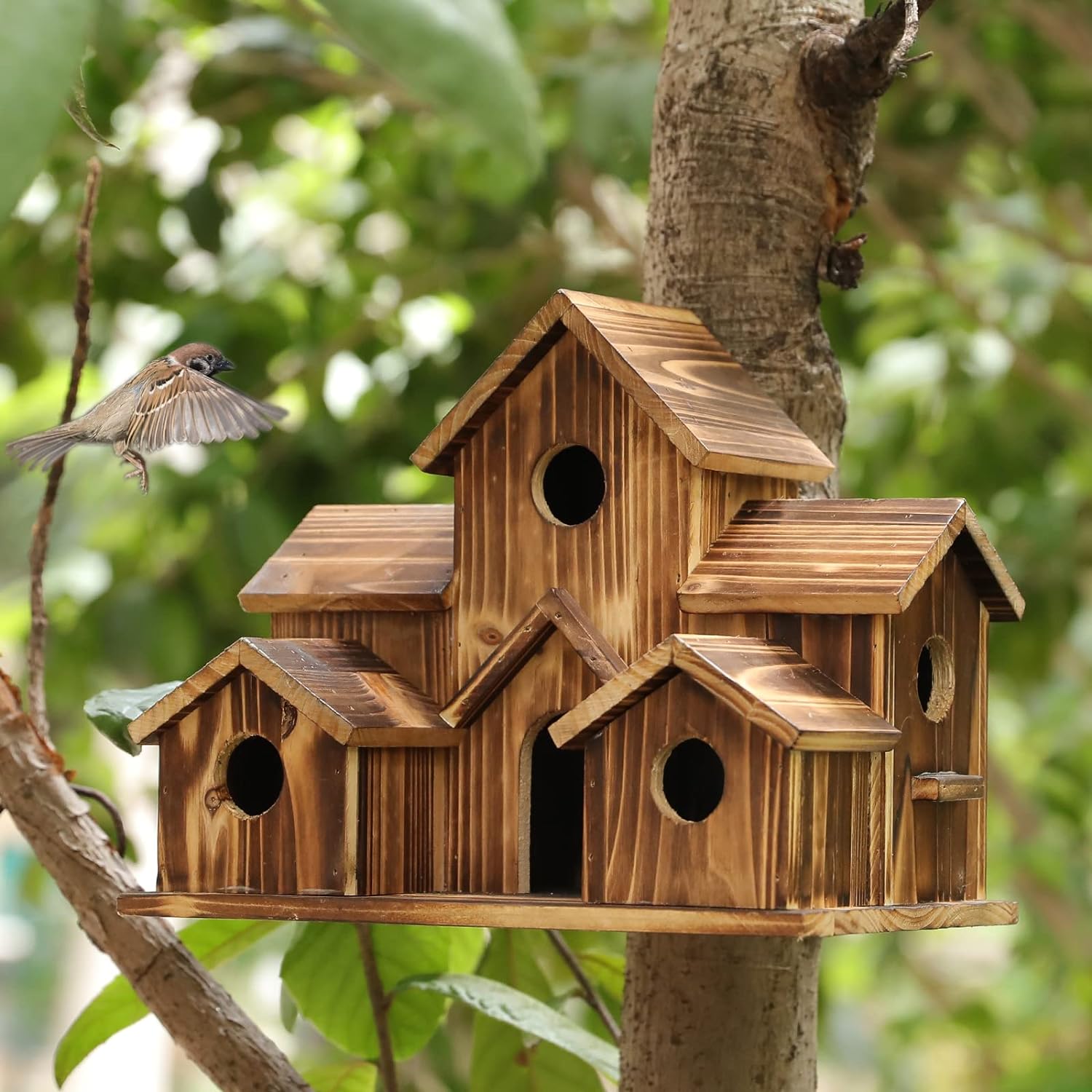 Bird House