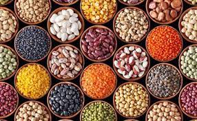 Hybrid Seeds
