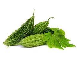 Organic Bitter Gourd