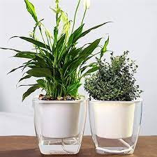 Self Watering Planters