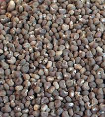 Ambrette Seeds