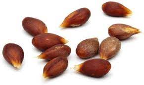 Apple Seeds