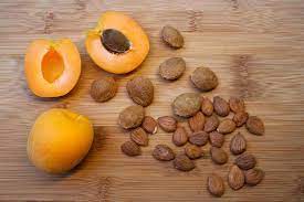 Apricot Seeds