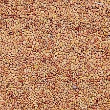 Grass Seeds
