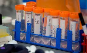 Molecular Biology Services